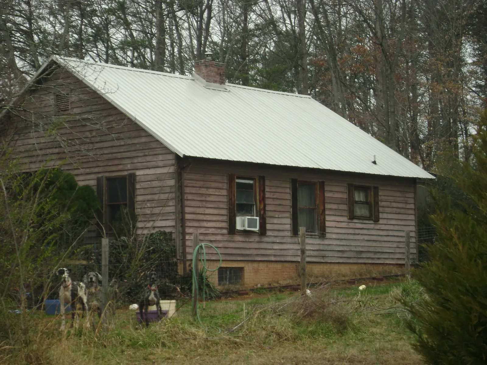 White metal roof on an old wood sided farmhouse, from a Asphalt Shingle Roof Repair job in Yarnell